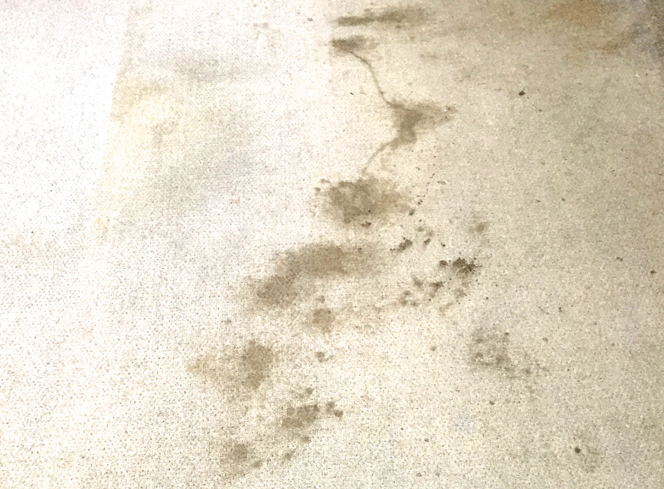 020115-footprints-in-the-carpet